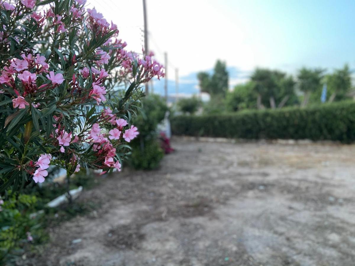 Athens Riviera: 2 Bed / 3' Walk From The Beach Agia Marina  Exterior foto